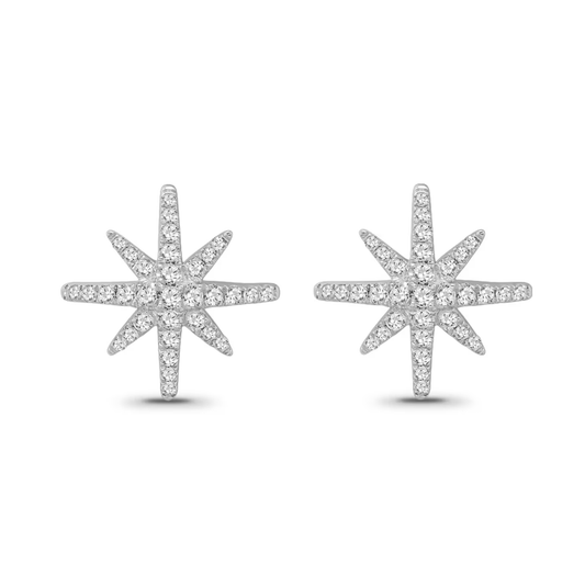 925 Sterling Silver Earring for Women