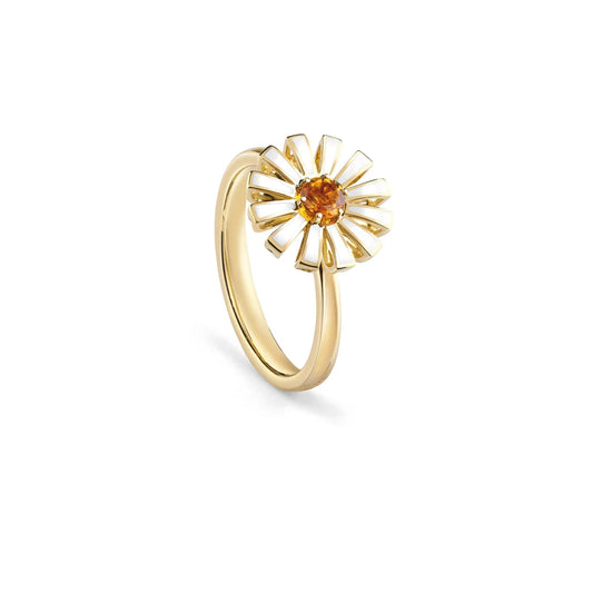 925 Silver Ring for Women