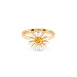 925 Silver Ring for Women