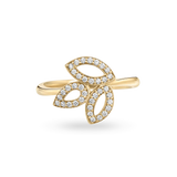 925 Silver Ring for Women