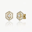 Prism Edge Earrings